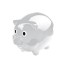 Transparent piggy bank