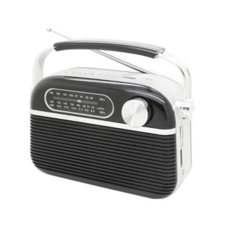 Portable radio