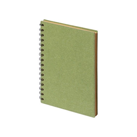Idina notebook