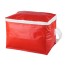 Coolcan cooler bag