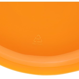 Recycled frisbee 
