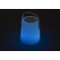 Plastic LED speaker