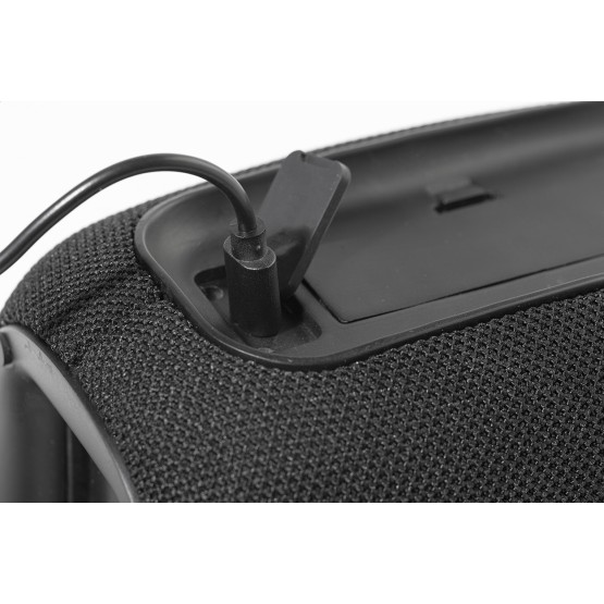 CaraBeat RABS wireless speaker